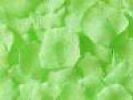 honeydew